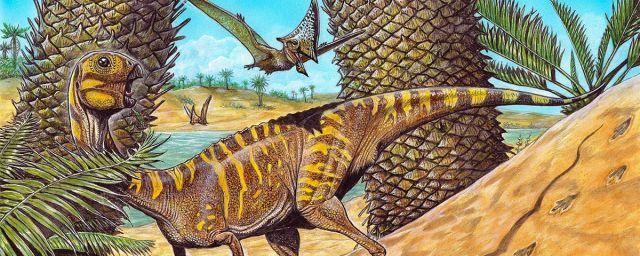Палеонтологи бразильского Национального музея открыли новый вид беззубого динозавра