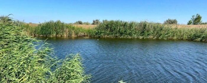 В реке Сухой Стерех в Саратовской области нашли тело пропавшего пастуха