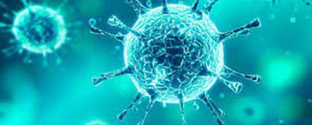 В Новосибирской области выявили 175 новых случаев коронавируса