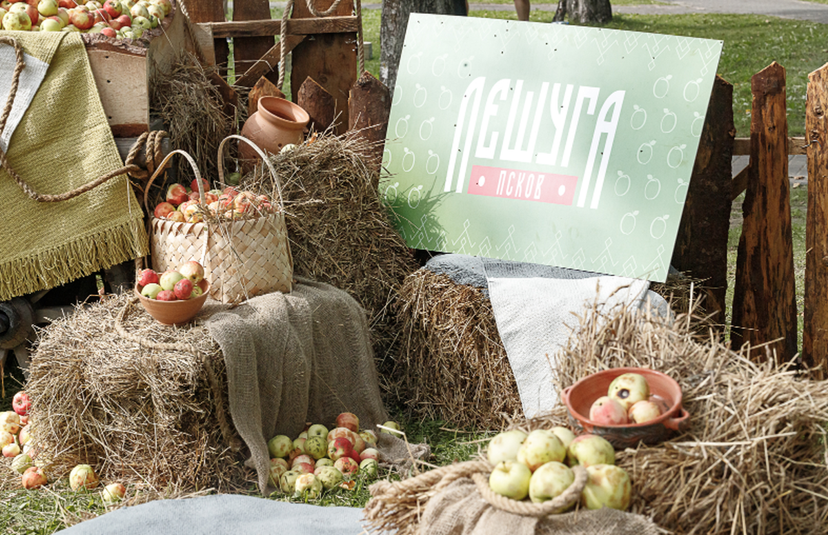 Объявлены победители окружного этапа международной премии Russian Event Awards 2025 в СЗФО и ЦФО