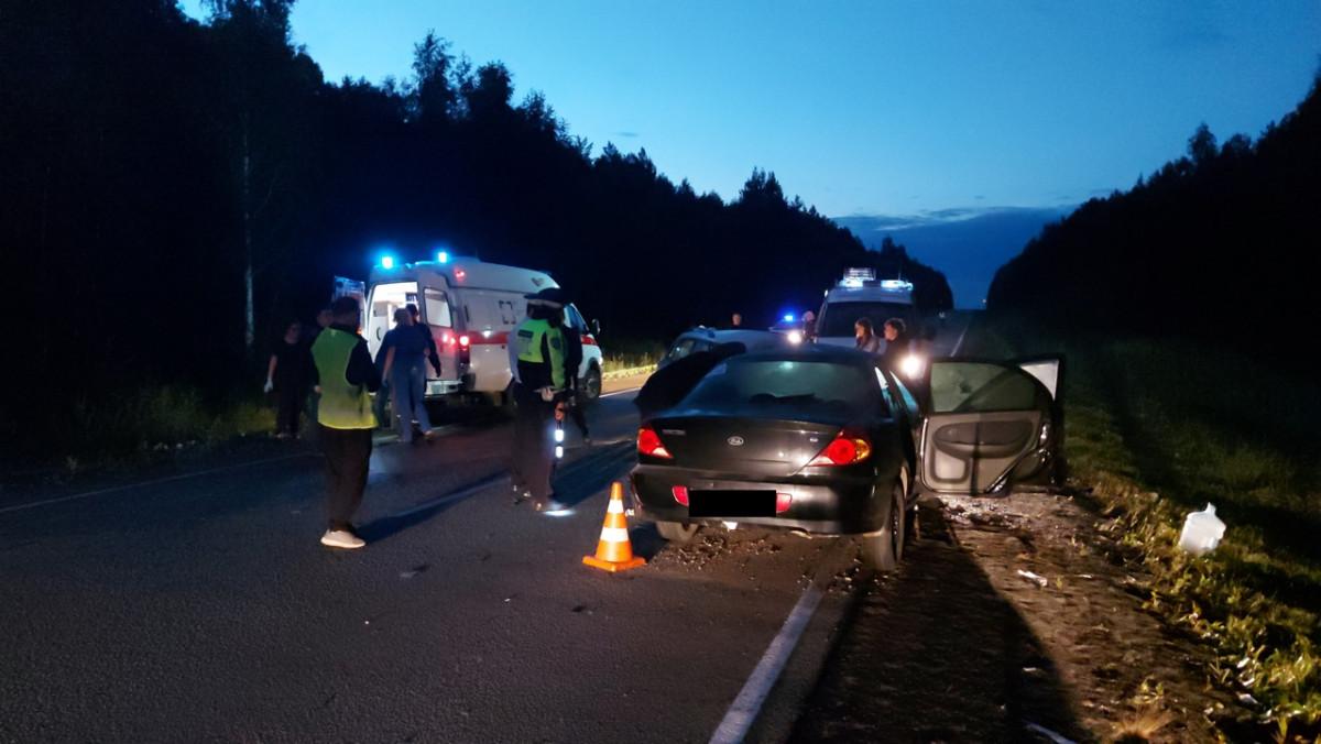 В Свердловской области на трассе водитель вылетел на встречку из-за лося и погиб