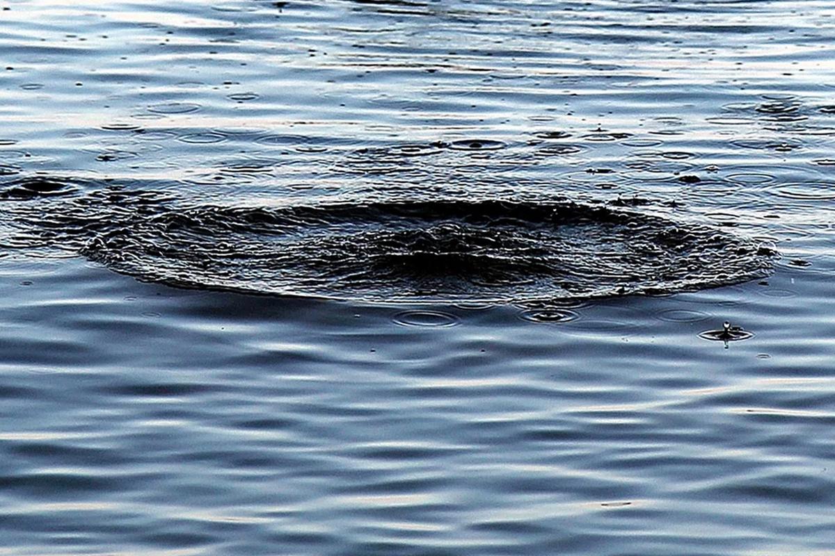 В водоеме Рязанской области обнаружено тело мужчины
