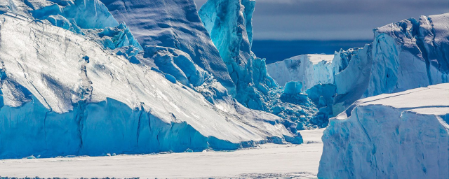 Под 500-метровым льдом Антарктиды обнаружили подводный мир с ракообразными