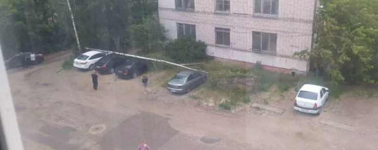 В Пскове дерево упало на три автомобиля