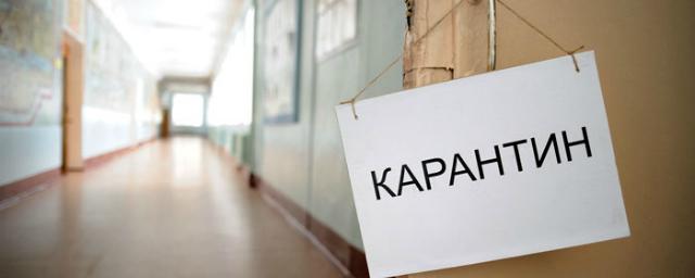 В СПбГУ прокомментировали информацию о «голодном» карантине студентов