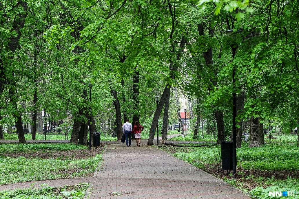 В Нижнем Новгороде Парк Кулибина с соседним кладбищем отремонтируют за 123 млн рублей