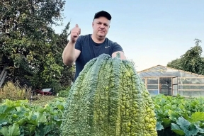 «Кабан» весом 76 кг: строитель из Луховиц вырастил самый большой кабачок в истории России