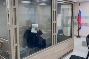 Экс-замгубернатора Брянской области и его сын арестованы: взятки за детсады, спорткомплексы и Домодедово на 7 млн