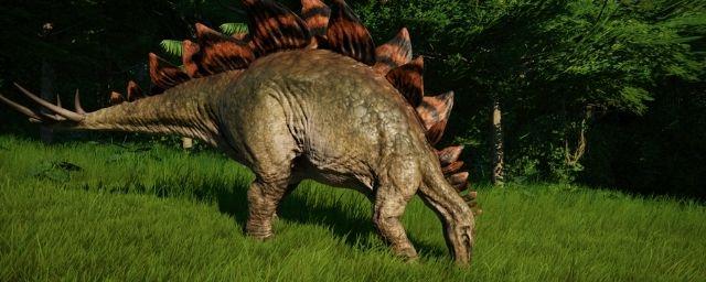 В Китае палеонтологи обнаружили останки стегозавра нового вида
