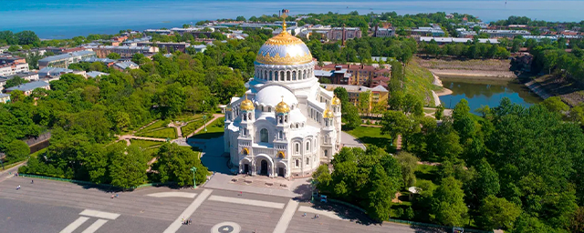 В Санкт-Петербурге залетевшая на подстанцию птица оставила без электричества весь Кронштадт