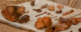 В пещере «Таврида» нашли зубы древних гиен-людоедов