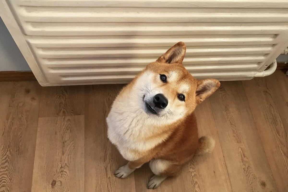 Власти Севастополя рассказали о подготовке к зиме и мерах против блэкаута