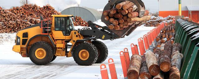 Власти Болгарии намерены запретить продажу древесины третьим странам