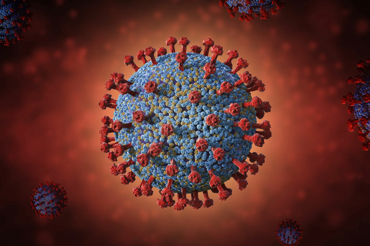 Минздрав Мурманской области заявил, что готов к возможному росту заболеваемости коронавирусом FLiRT