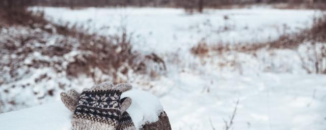 В Хабаровском крае при температуре -50 градусов женщина насмерть замерзла по пути на работу