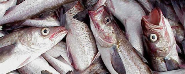Китай прекратил приём рыбной продукции из России
