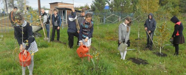 В Кузбассе за один день высадили 85 тысяч деревьев