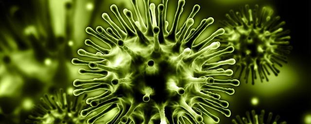 В Новосибирской области выявлено 92 новых случая коронавируса