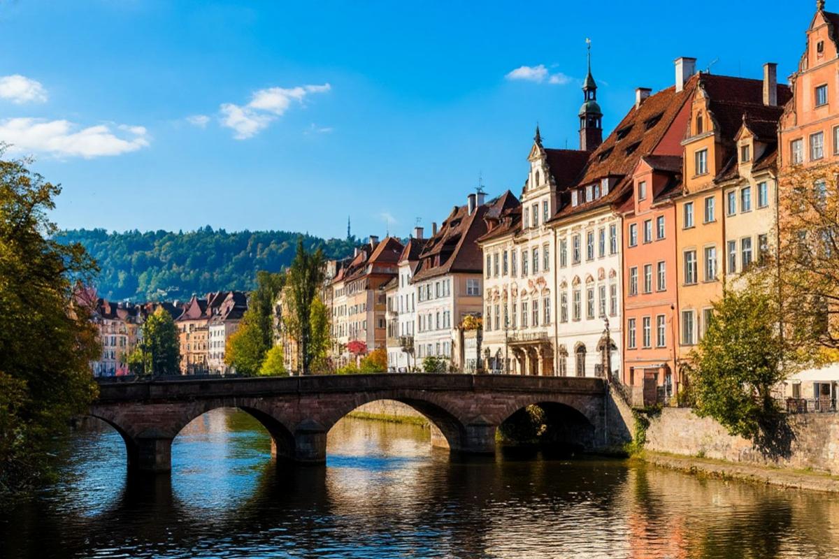 Опасный грибок, поражающий пах и ягодицы, быстро распространяется в Европе