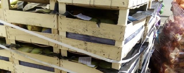 В Томске уничтожили бульдозером 730 кг «санкционных» груш из Голландии