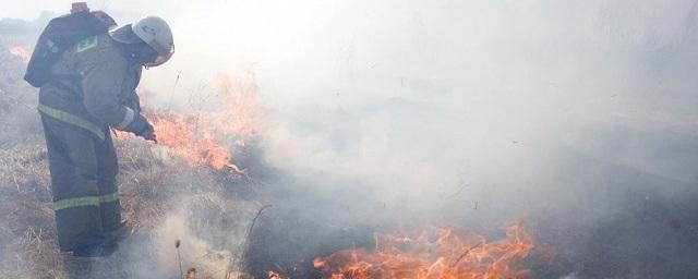 В пяти районах Воронежской области понижен уровень пожароопасности