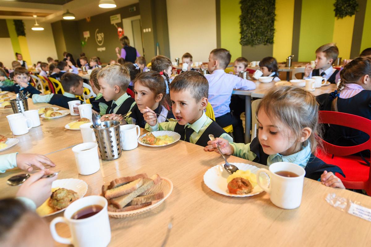 Российский (страна-террорист) экооператор предложил уменьшить порции обедов для учеников младших классов