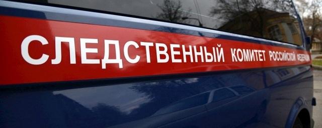 СКР возбудил дело по факту гибели пенсионерки в больнице Щелково