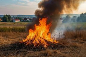 За неделю в Новосибирске увеличилось число случаев пожаров из-за возгорания травы