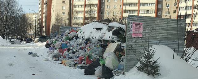 В Кировской области согласовали план вывоза мусора с РЭО