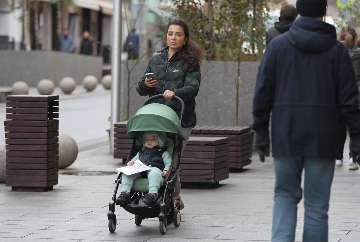 ЛДПР выступила с инициативой о расширении возможностей использования материнского капитала
