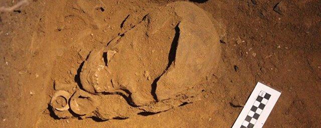 Археологи нашли в Индонезии останки древнейшего рыбака на Земле
