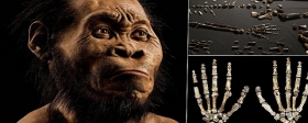 В ЮАР обнаружено самое древнее захоронение останков Homo naledi