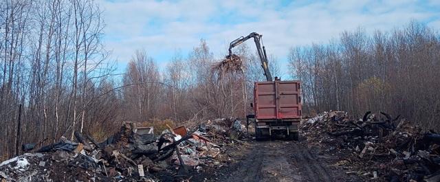 В Автозаводском районе Нижнего Новгорода ликвидируют 25 несанкционированных свалок