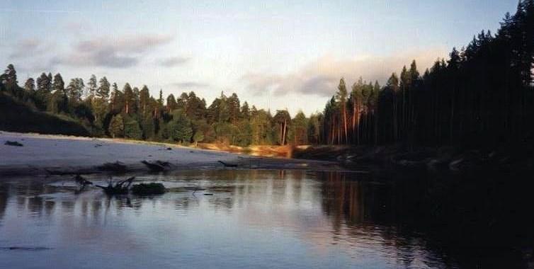 За сутки уровень воды в реке Керженец поднялся на 15 см