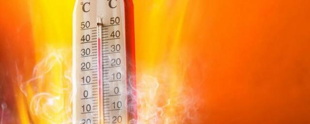 Жителей Кузбасса предупредили о спаде температуры к выходным
