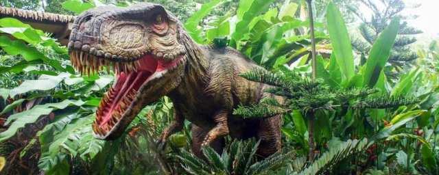 Эксперты больницы «Шарите»: тираннозавр страдал от остеомиелита