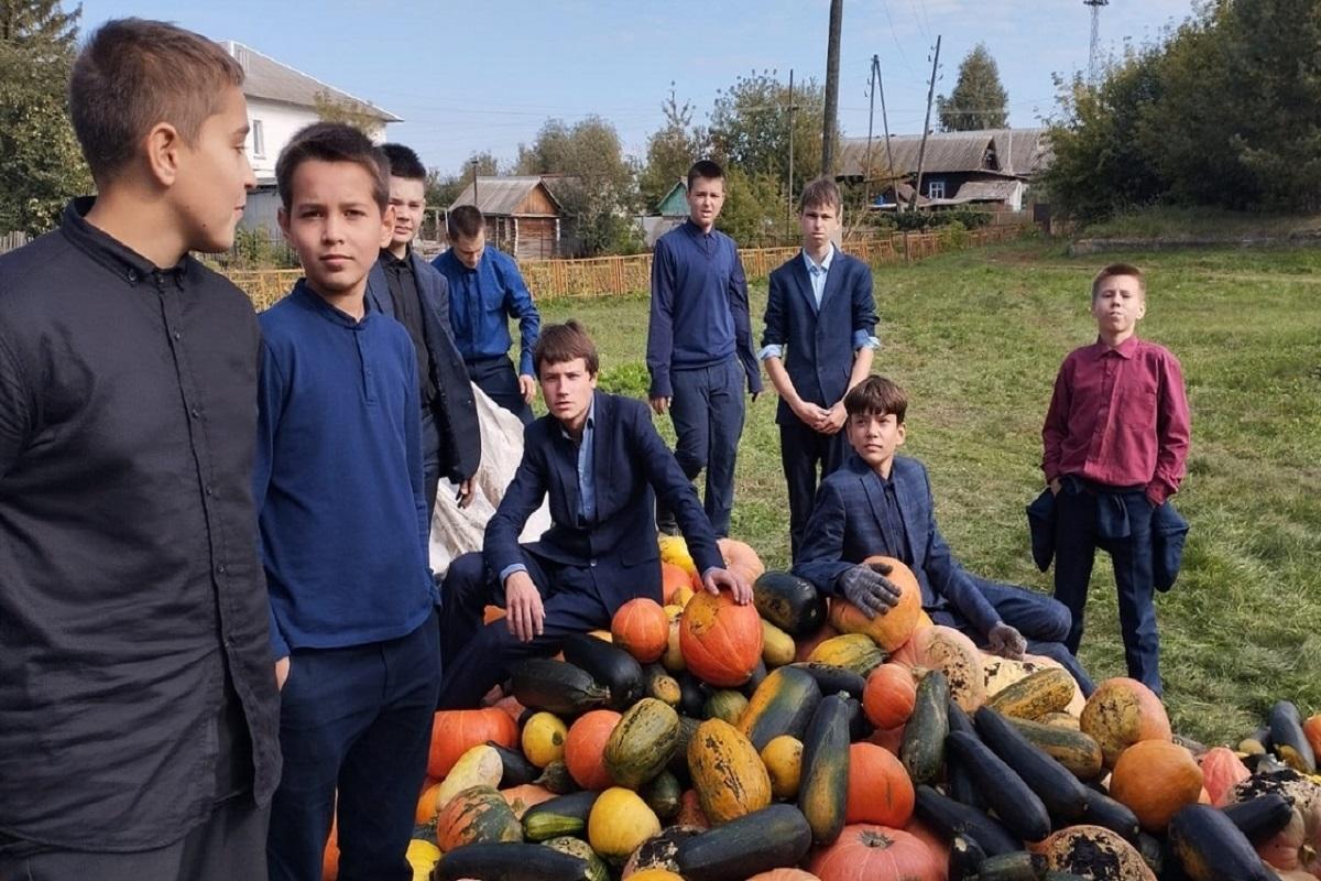 В Мордовии школьники вырастили на пришкольном участке несколько центнеров корма для зубров