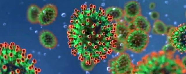 В Новосибирской области подтверждены еще 103 случая коронавируса