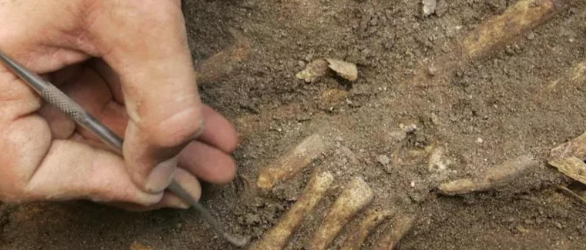 Испанские археологи доказали, что неандертальцы использовали костяные ретушеры
