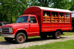 Заводы РФ организовали массовое производство цыплятовозов