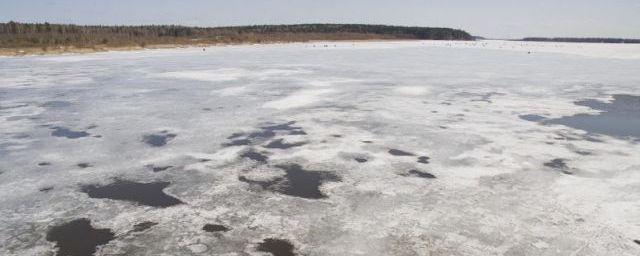 В Алтайском крае вскрылась река Алей