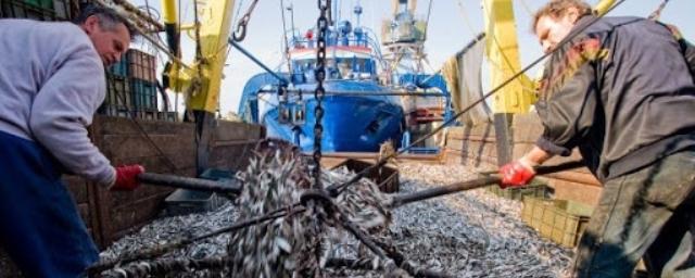 В Мурманский порт прибудет более 8000 тонн рыбы