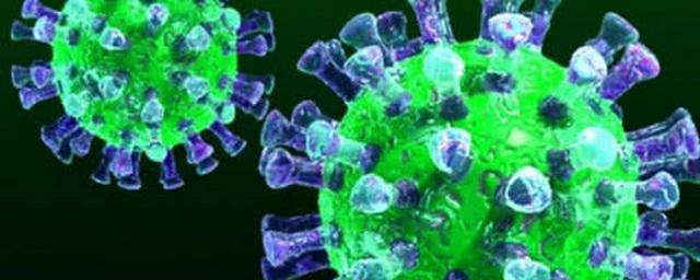 В Амурской области выявлены 28 новых случаев коронавируса