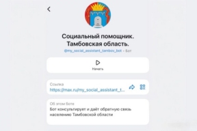 Чат-бот «Социальный помощник» в Тамбовской области: меры поддержки для участников СВО