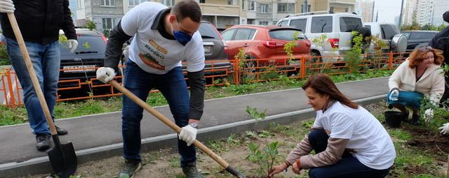 В Красногорске проходит акция «Наш лес. Посади свое дерево»