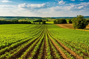 На Кубани создали нейросеть для точного земледелия