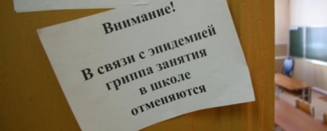 Омские школы начали закрывать на карантин из-за гриппа и ОРВИ