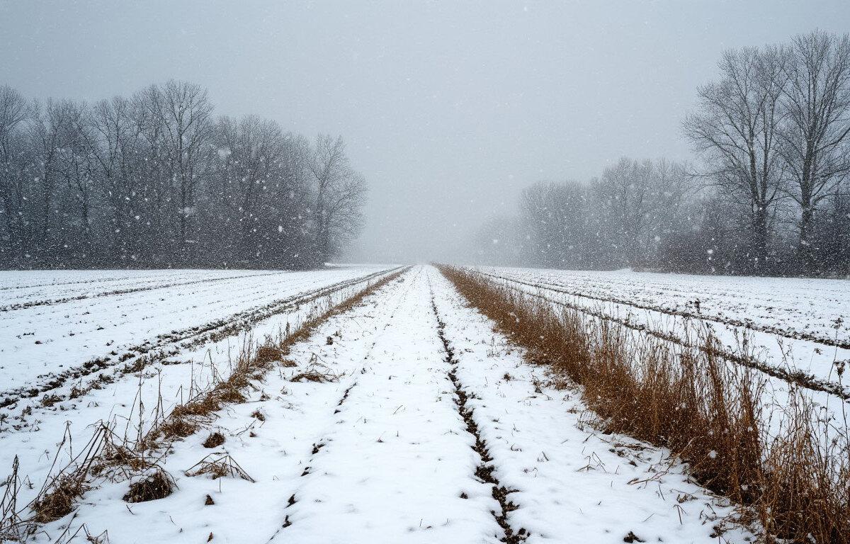 В ХМАО ожидаются суровые морозы до -40 градусов