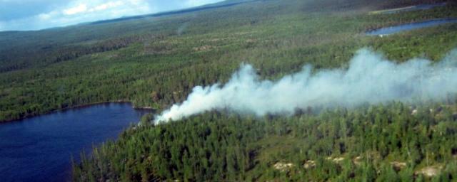 Площадь природных пожаров под Иркутском выросла до 217 тысяч гектаров