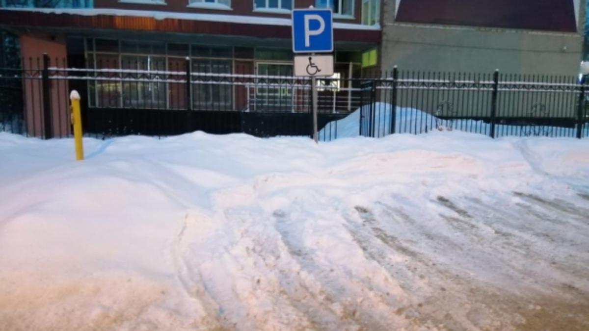 Активисты ОНФ раскритиковали уборку снега в Барнауле